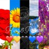 K_KP_Ni profil fotoğrafı