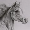 Michal🐎 的头像