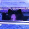 Little Cat Rapper⁷ 的头像