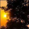 Vaibhav Lohani profil fotoğrafı