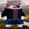 Profilbild von akien_fella 🇺🇸