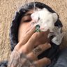 PL $'s profile picture