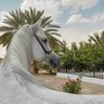 Nawaljameel's profile picture