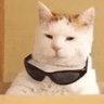 esxsoyyoo's profile picture