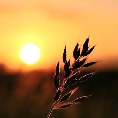saad_3obid's profile picture