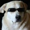 odysseus ๐บ๐ฆ's profile picture