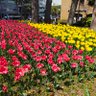 Фото профиля 2027大学受験予定