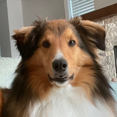 B_radCR's profile picture