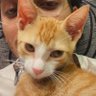 fred's profile picture