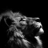 عادل أبو عزيز 𐩲𐩱𐩵𐩡 𐩦𐩱𐩥𐩦's profile picture
