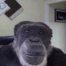 ethan's profile picture