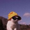 Profilbild von Krissy