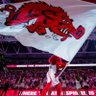 Profilbild von Woo Damn Pig