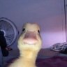 Profilbild von Sabb