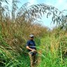 Bahasa Bumi 的头像