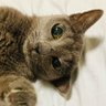 はなっちょ profil fotoğrafı