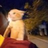 poot profil fotoğrafı