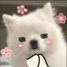 AA^^'s profile picture