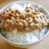 Фото профиля 納豆ごはん🇯🇵
