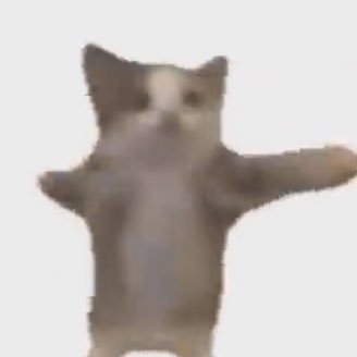 Happy cat's profile picture