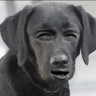 Sidou's profile picture