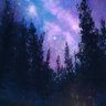 Profilbild von YyEKAiI65222