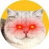 HodlCat ∞÷21m 的头像