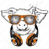Фото профиля choonpig