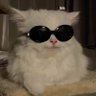 Profilbild von FIVEtrix