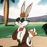 بجوزة الحكيم's profile picture