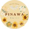 Фото профиля PINAWA