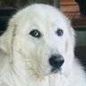 margotlegrand's profile picture