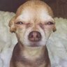 Profilbild von JayBee