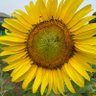 Фото профиля อะไร ก้อได้😀😀