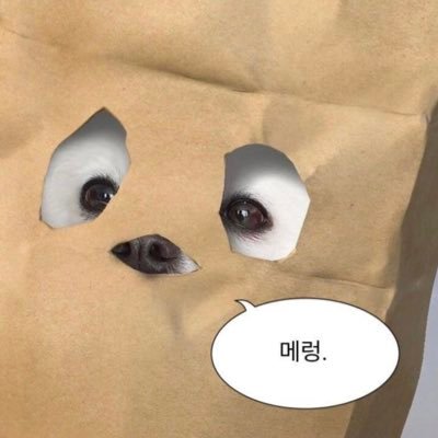 _zouzo's profile picture