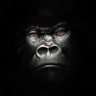 Profilbild von Meech โ๏ธ๐บ๐ธ