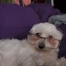 Randyman@Randyman profil fotoğrafı