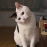 Profilbild von Jimmy