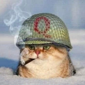 PiriHAN7777's profile picture