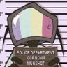 Cornchip's profile picture