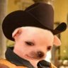 El alegador 的头像