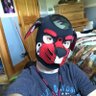 Фото профиля Beta Pup Foxtrot