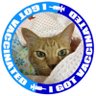 Kisaragui＊きさらぎ profil fotoğrafı