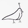 Profilbild von Mr. Pigeon
