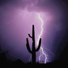 Фото профиля Valley of the Sun