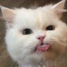 Profilbild von พ๊ะพลอย(มีคราง)