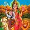UMASHANKAR's profile picture