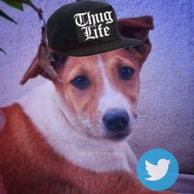 நாய்க்குட்டி (The Dog)'s profile picture