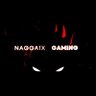 NaggaiX 的头像