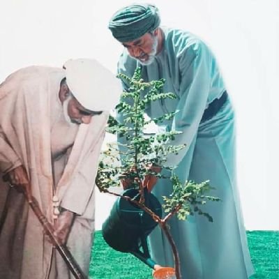 doDvuSrDmiFcgJH's profile picture